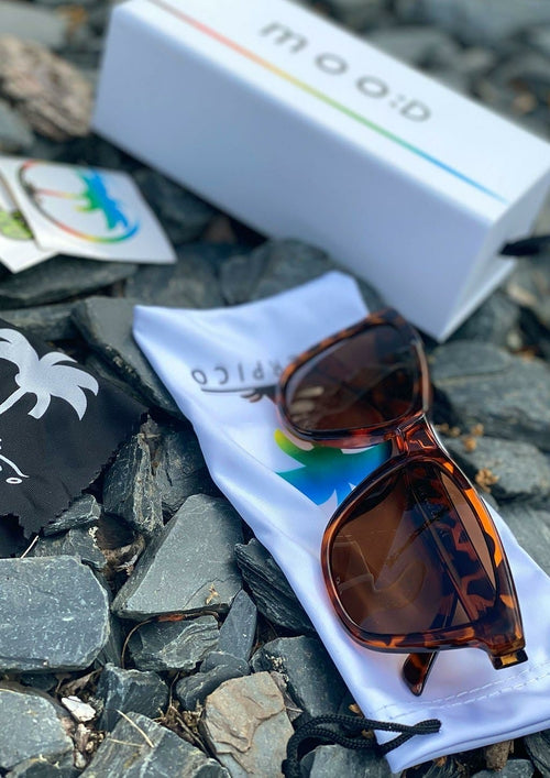 Lunettes de Soleil MOOD Wayfarer V1 - Foxy