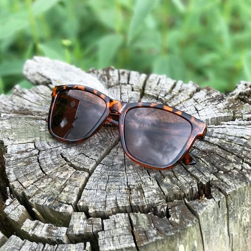 Lunettes de Soleil MOOD Wayfarer V1 - Foxy